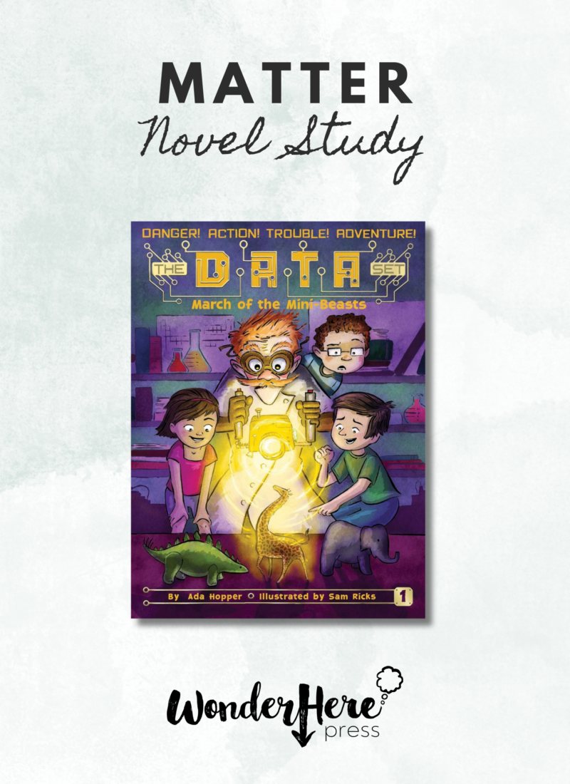 Matter Novel Study